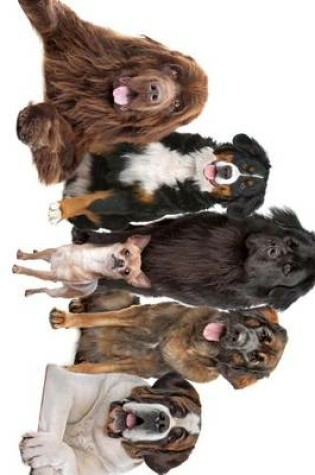 Cover of 5 Big Dogs and Their Chihuahua Leader