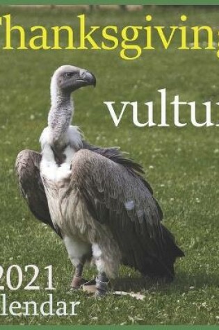 Cover of Thanksgiving vulture