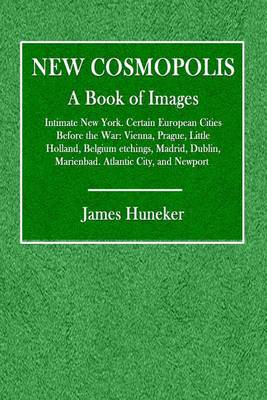 Book cover for New Cosmopolis; A Book of Images