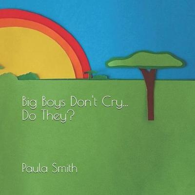 Book cover for Big Boys Don't Cry... Do They?
