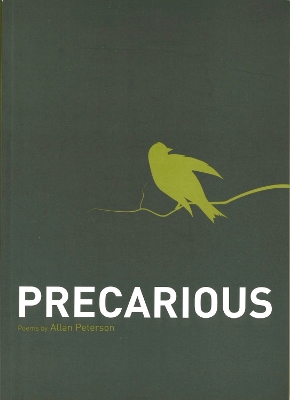 Book cover for Precarious