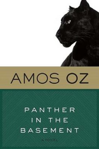 Cover of Panther in the Basement