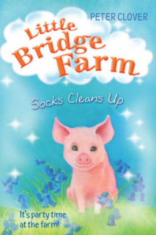 Cover of Socks Cleans Up