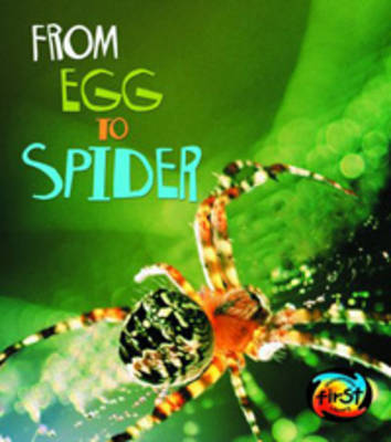 Book cover for From Egg to Spider