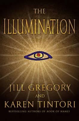 Book cover for The Illumination