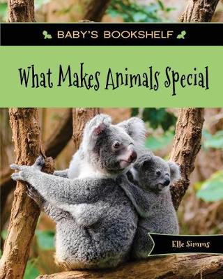 Book cover for What Makes Animals Special