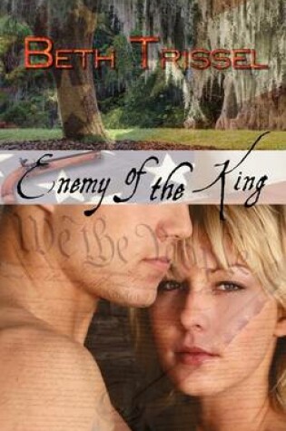 Cover of Enemy of the King