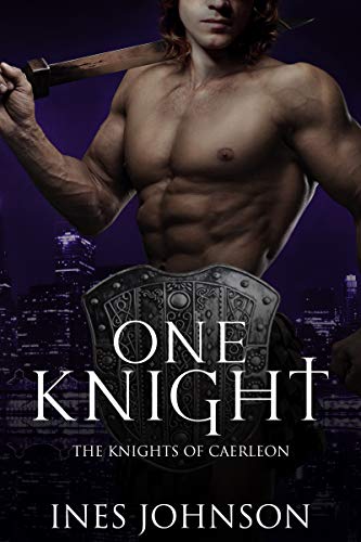Book cover for One Knight