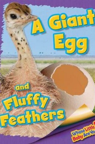 Cover of A Giant Egg and Fluffy Feathers (Ostrich)