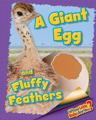 Cover of A Giant Egg and Fluffy Feathers (Ostrich)