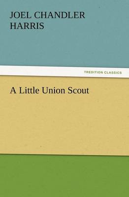 Book cover for A Little Union Scout