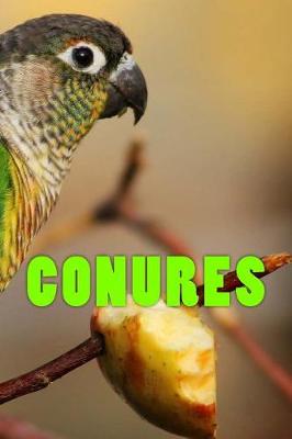 Book cover for Conures