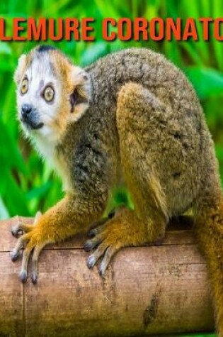 Cover of Lemure coronato