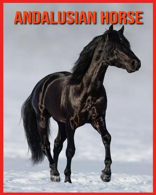 Book cover for Andalusian Horse