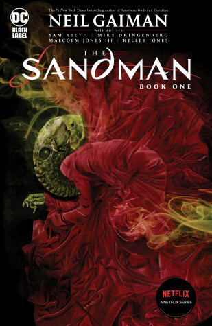 Book cover for The Sandman Book One
