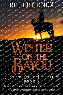 Book cover for Winter on the Bayou