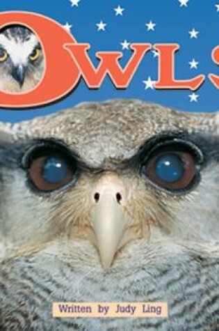 Cover of Owls (Level 10)