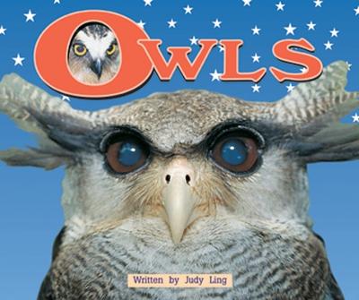 Cover of Owls (Level 10)