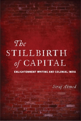 Book cover for The Stillbirth of Capital