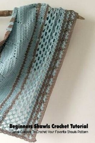 Cover of Beginners Shawls Crochet Tutorial