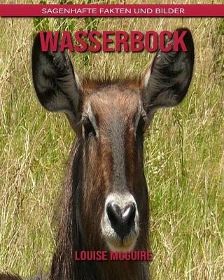 Book cover for Wasserbock