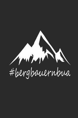 Book cover for Bergbauernbua