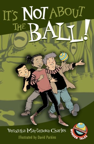 Book cover for It's Not About The Ball!