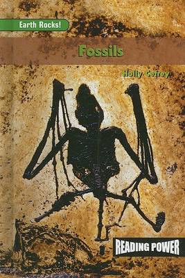 Book cover for Fossils