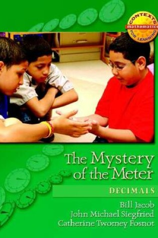 Cover of The Mystery of the Meter