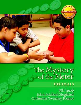 Book cover for The Mystery of the Meter