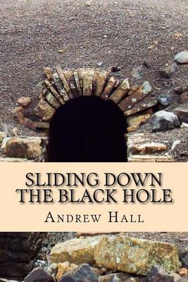 Book cover for Sliding Down the Black Hole