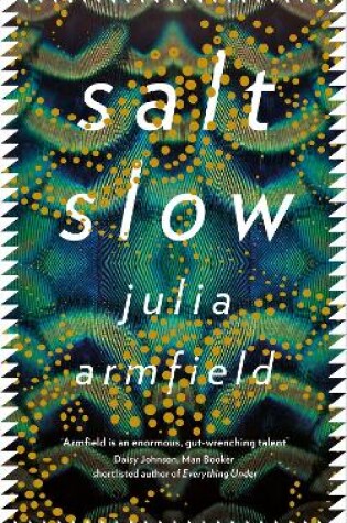 Cover of Salt Slow
