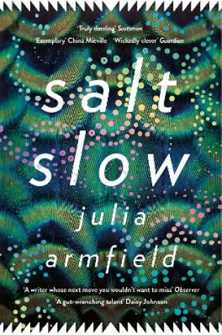 Cover of Salt Slow