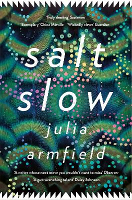 Book cover for Salt Slow