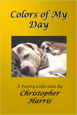 Book cover for Colors of My Day