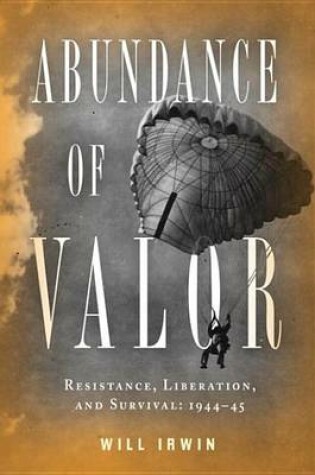 Cover of Abundance of Valor