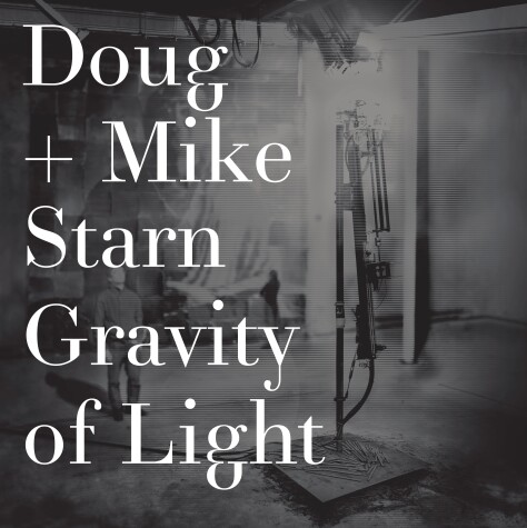 Book cover for Doug and Mike Starn