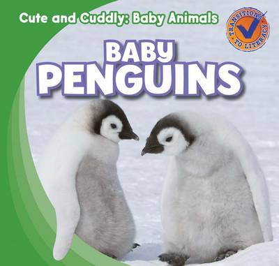 Book cover for Baby Penguins