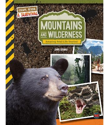 Book cover for Mountains and Wilderness, Grades 4 - 9