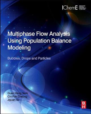 Book cover for Multiphase Flow Analysis Using Population Balance Modeling