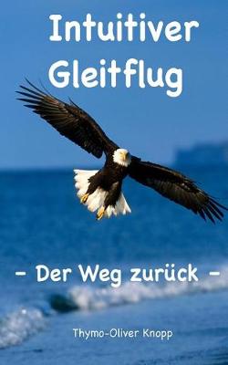 Book cover for Intuitiver Gleitflug