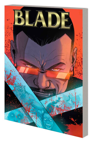 Cover of Blade Vol. 2: Evil Against Evil