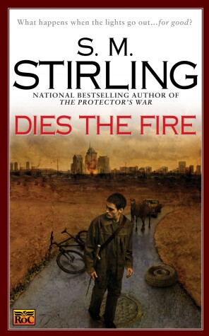 Book cover for Dies the Fire