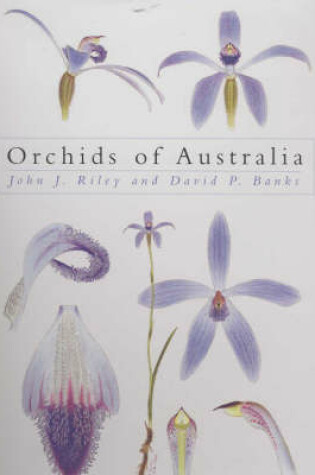 Cover of Orchids of Australia