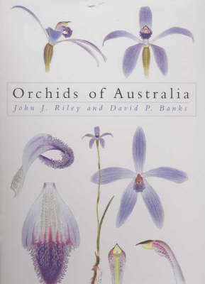 Book cover for Orchids of Australia