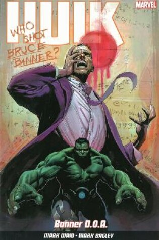 Cover of Hulk Vol.1: Banner D.O.A