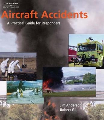 Book cover for Aircraft Accidents