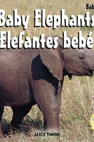 Cover of Elephants / Elefantes Bebé