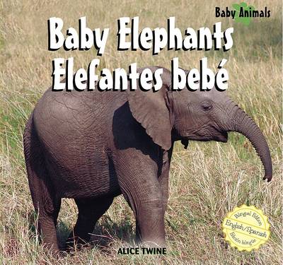 Book cover for Elephants / Elefantes Bebé