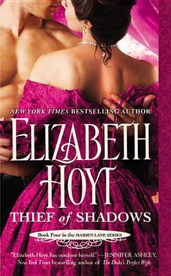 Book cover for Thief of Shadows